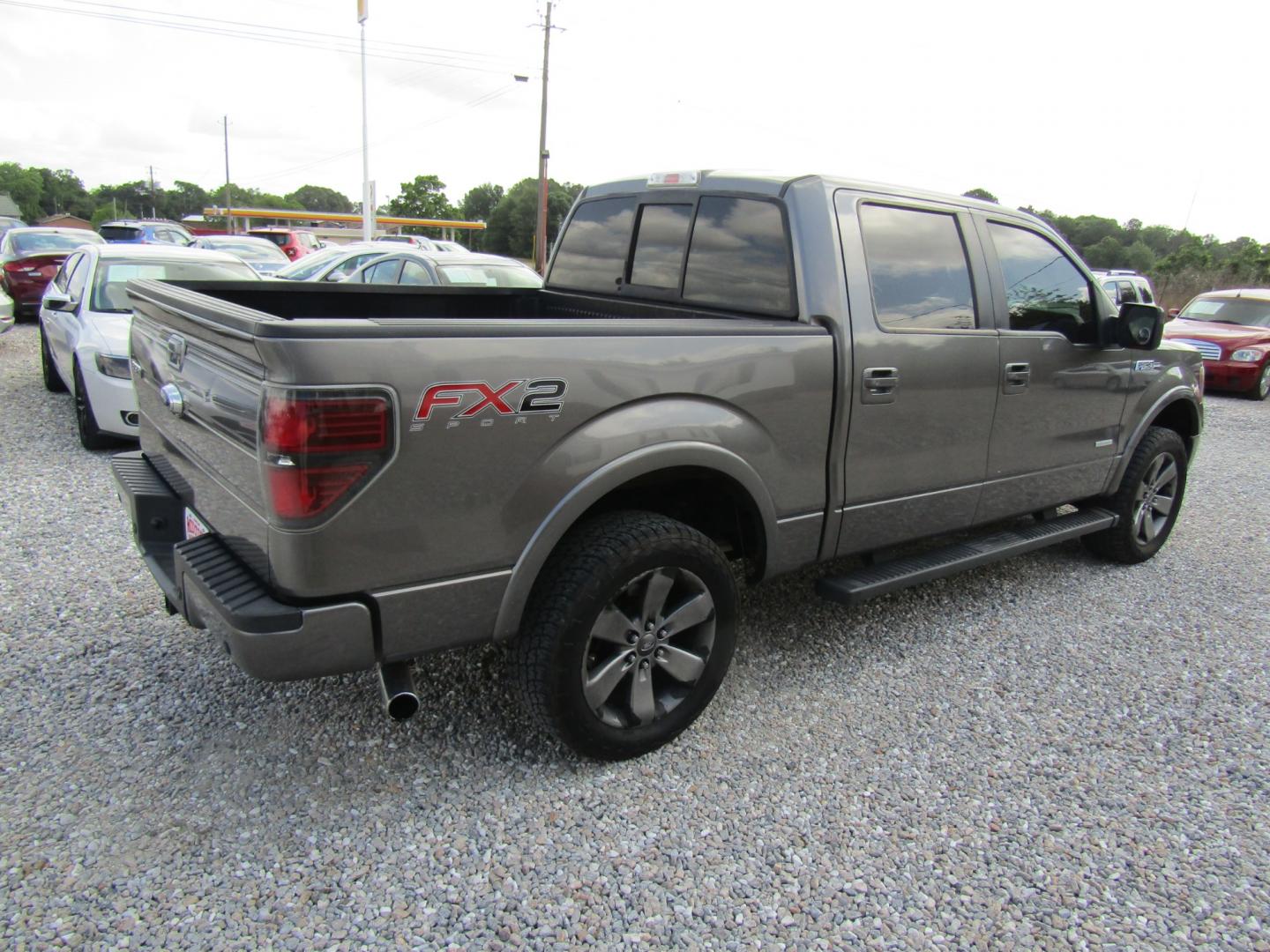 2013 Gray /Gray Ford F-150 Platinum SuperCrew 6.5-ft. Bed 2WD (1FTFW1CTXDF) with an 3.5L V6 TURBO engine, Automatic transmission, located at 15016 S Hwy 231, Midland City, AL, 36350, (334) 983-3001, 31.306210, -85.495277 - Photo#7